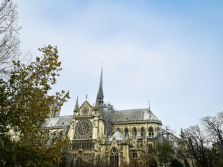 Fototapeta na wymiar beautiful view Notre Dame Cathedral in Paris France