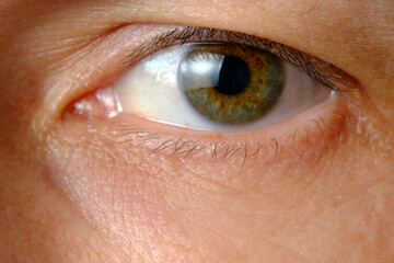 Human male eye closeup on macro photos.