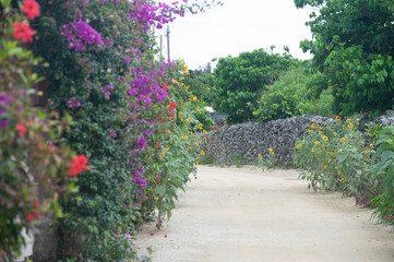 Obraz premium path in the park,竹富島,沖縄,日本
