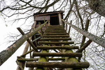 Hunters hideout with a wooden ladder in the nature