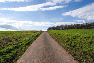 Fototapeta premium Path in the landscape with blue sunny sky