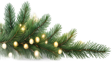 christmas tree branch