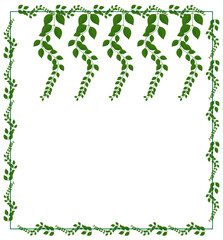 vine leaf vector illustration. on white background. decorative leaf.