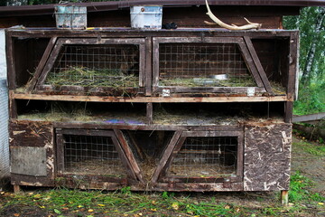 Photo of a cage with rabbits village life.