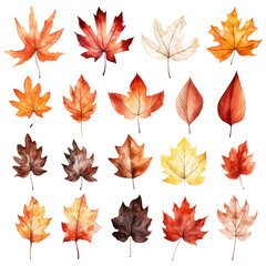 Obraz premium Pretty watercolour autumnal leaves. This is a png file with a transparent background.