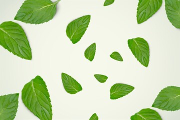 Falling fresh green leaves