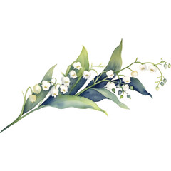 watercolor white lily of the valley flower