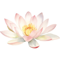 watercolor neutral water lily flower