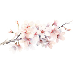 watercolor neutral cherry blossom flower