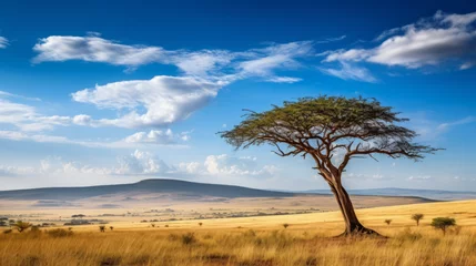 Fototapeten tree in the African savanna © Pavlo