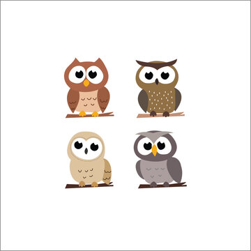 Four owl