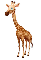 Cute giraffe cartoon on a white background. Vector illustration.