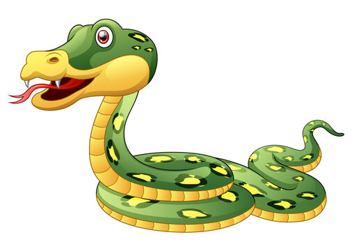 Vector illustration of Cartoon snake isolated on white background.