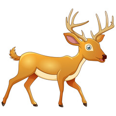 Vector illustration of Cartoon deer isolated on white background