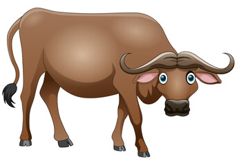 Cute buffalo cartoon standing on white background illustration. Vector illustration.