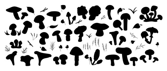Vector black silhouette forest mushrooms edible and inedible different types. Forest herbs, leaves. - obrazy, fototapety, plakaty