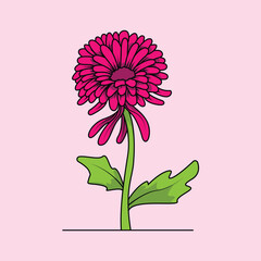 Chrysanthemums Flower