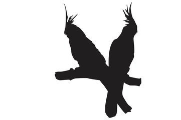 Fototapeta premium Pose of a bird perched on a twig silhouette with a transparent background