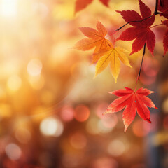  Maple Leaf Season: Vibrant Red and Yellow. ai generative