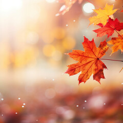 autumn season  with red and yellow maple leaves with soft focus light. ai generative