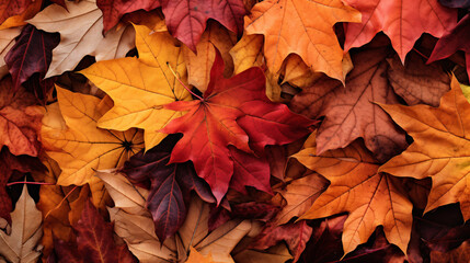Naklejka na ściany i meble Autumn Season Overhead Close-Up of Densely Packed, Vibrantly Colored Autumn Leaves Creating a Rich Texture and Lush Display of Fall Hues.