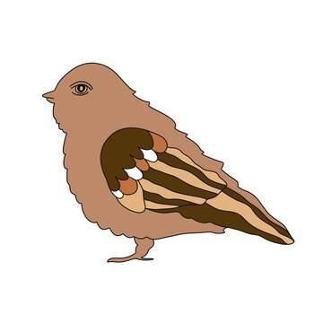 recommend clip art: Hand drawn sparrow illustration, bird