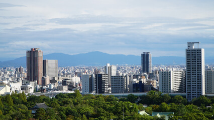 Fototapeta na wymiar Osaka City Panorama. Osaka, Japan.