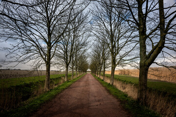 The driveway to the farm Elswerd, between Rottum and Doodstil in the province of Groningen. The driveway is part of a signposted walk.