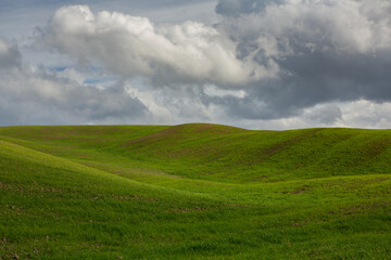 Famous Tuscany landscape with curved road and cypress, Italy, Europe. Rural farm, cypress trees, green field, sunlight and cloud. 