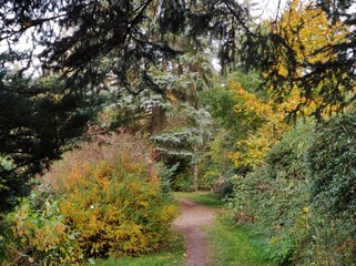 Herbstlich bunte Naturlandschaft im Waldpark