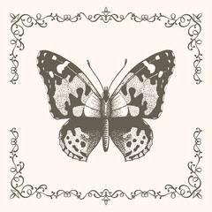  Butterfly with frame in vintage style