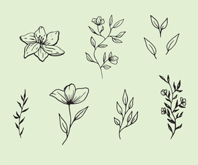 set of elements flowers, leaves, vector