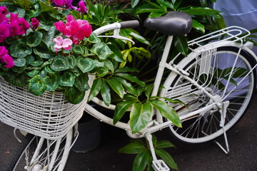 A white bicycle with garden flowers in a basket.