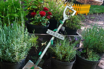 Decorative garden shovel next to potted plants