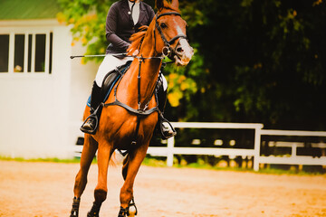 A beautiful sorrel horse with a rider in the saddle jumps in the summer on an outdoor arena. Equestrian sports and dressage competitions. Riding skills.