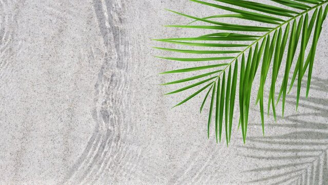 green palm leaf on transparent water wave surface, top view of an abstract white sand beach, nature background concept with copy space for travel, vacation and beauty spa