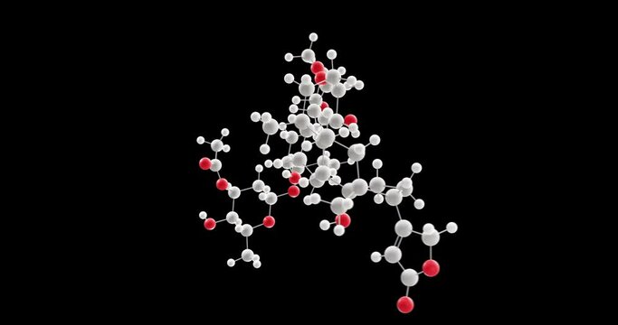 Acetyldigitoxin molecule, rotating 3D model of cardiac glycoside, looped video with alpha channel