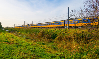 Train riding in a green field with reed in wetland beneath a blue cloudy sky in winter, Almere,...