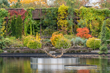 Pond and autumn foliage colours in Montreal Botanical Gardens. A beautiful calm serene zen place with a dead tree in the centre