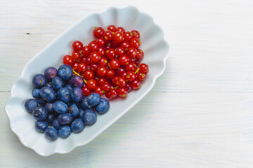 Oblique arrangement of succulent blueberries and currants in an oval container