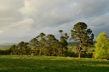 Woodstock Gardens and Arboretum, Inistioge, County Kilkenny, Ireland