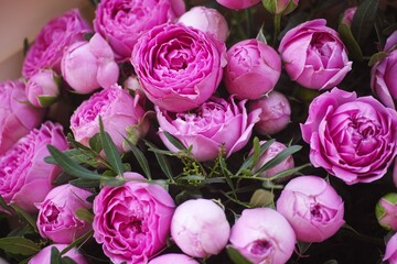Obraz na płótnie Canvas Bouquet of pink peony roses.