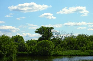 Summer landscape with blue cloudy sky, river, and trees. © rosinka79