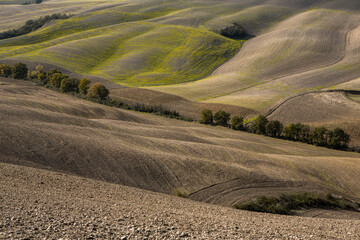 Fototapeta na wymiar Harvested Fields and meadows landscape in Tuscany, Italy. Wavy country scenery at autumn sunset. Arable land ready for the agricultural season.