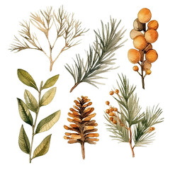 Scandinavian Christmas Watercolor Elements, without background in PDF format