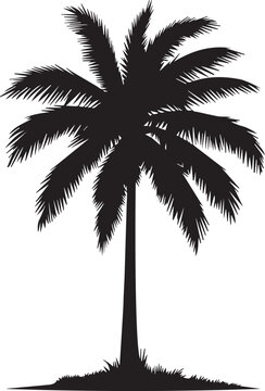 Palm Tree Silhouettes EPS  Vector Palm Clipart Palm Collection
