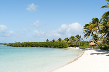 Obraz premium Beautiful landscape of Contoy Island in Mexico at the seashore with transparent water and surrounded by palm trees and vegetation.