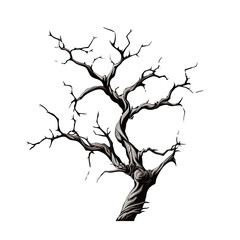 Beautiful dead tree on transparent background PNG