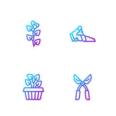 Set line Gardening handmade scissors, Indoor plant ivy pot, Ivy branch and Broken. Gradient color icons. Vector
