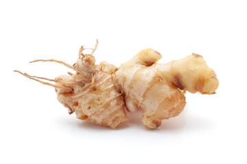 Close-up of Indian organic Ginger (Zingiber officinale) isolated on a white background.